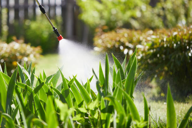 Tamper-Resistant Bait Stations for Rodents in East Niles