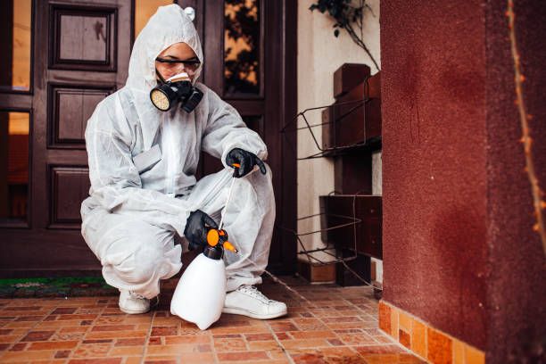 Attic and Crawl Space Rodent Treatment in East Niles