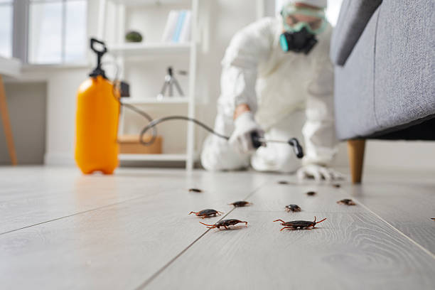 Commercial Rodent Management in East Niles